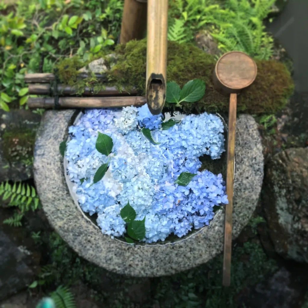 ⛩️ 노미 신사 (野見神社)